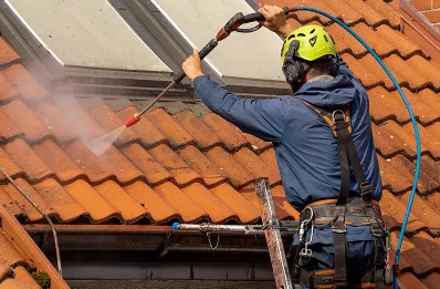 Démoussage et hydrofuge de toiture à Tesson